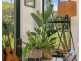 20 JACK WILLIAMS PLACE, Dungay NSW 2484