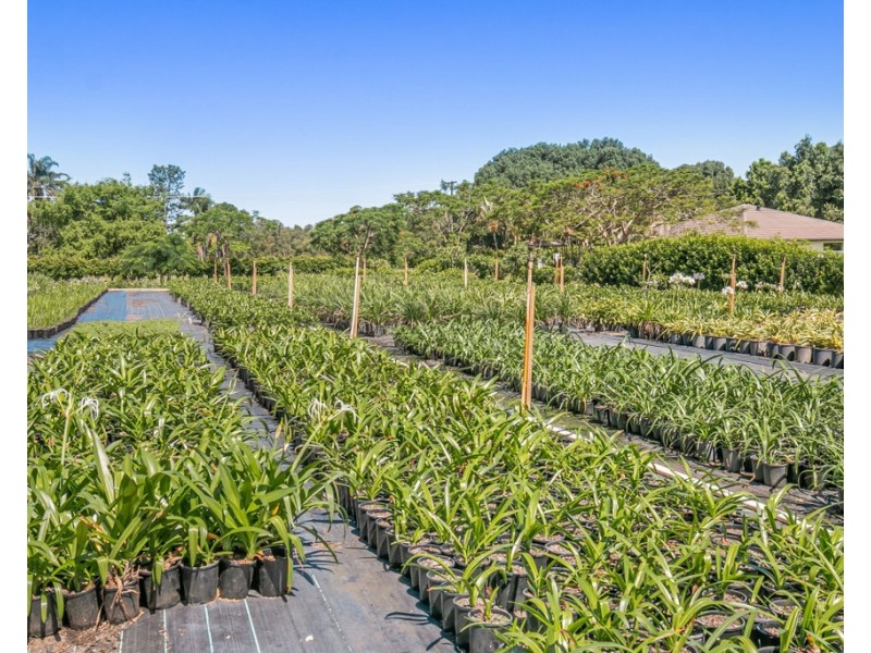20 JACK WILLIAMS PLACE, Dungay NSW 2484