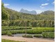 20 JACK WILLIAMS PLACE, Dungay NSW 2484