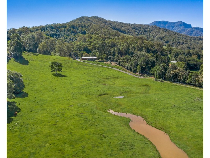 491 NOBBYS CREEK ROAD, Nobbys Creek NSW 2484