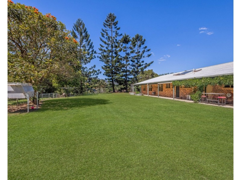 491 NOBBYS CREEK ROAD, Nobbys Creek NSW 2484