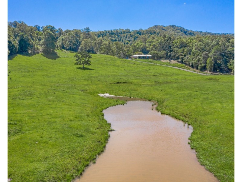 491 NOBBYS CREEK ROAD, Nobbys Creek NSW 2484