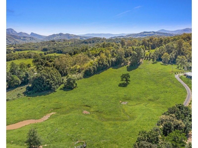 491 NOBBYS CREEK ROAD, Nobbys Creek NSW 2484