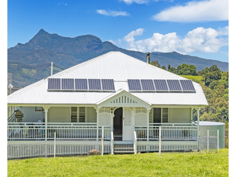 458 SETTLEMENT ROAD, Numinbah NSW 2484