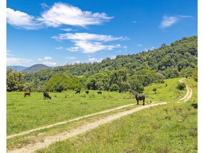 458 SETTLEMENT ROAD, Numinbah NSW 2484
