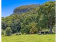 458 SETTLEMENT ROAD, Numinbah NSW 2484