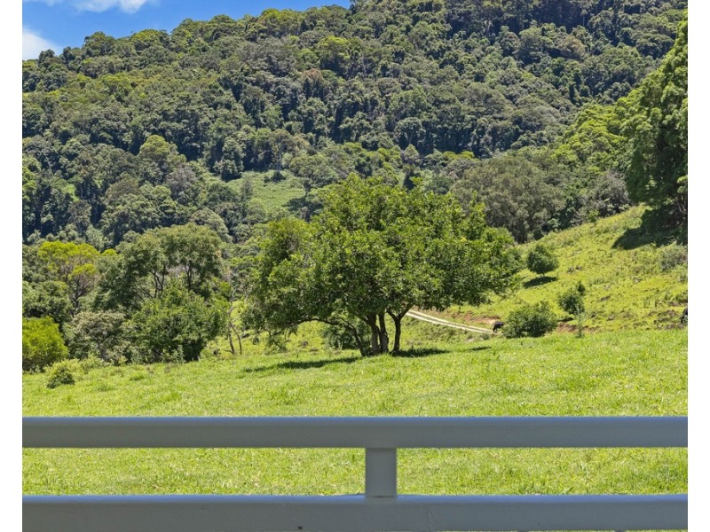 458 SETTLEMENT ROAD, Numinbah NSW 2484