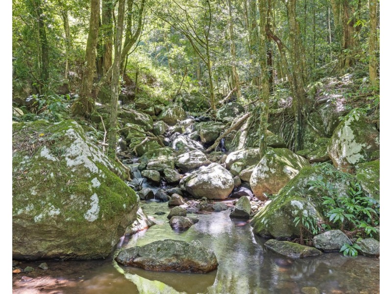 458 SETTLEMENT ROAD, Numinbah NSW 2484