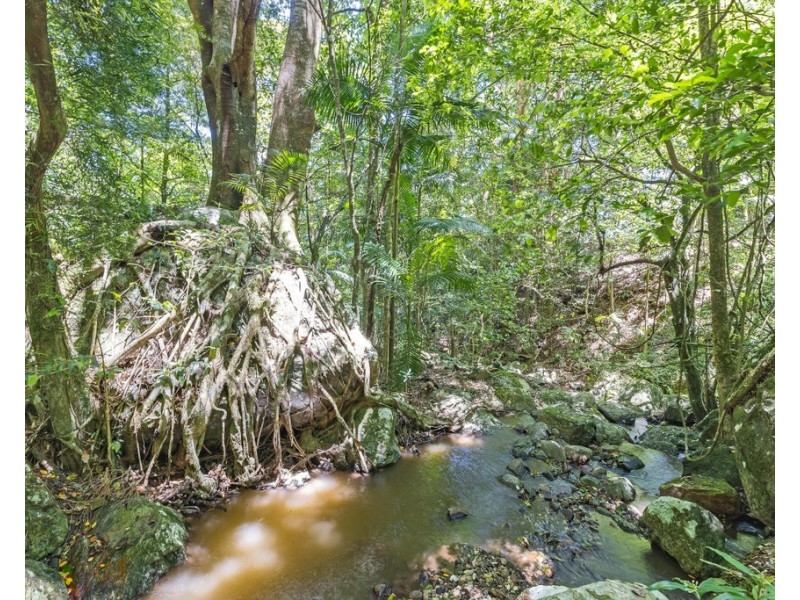 458 SETTLEMENT ROAD, Numinbah NSW 2484