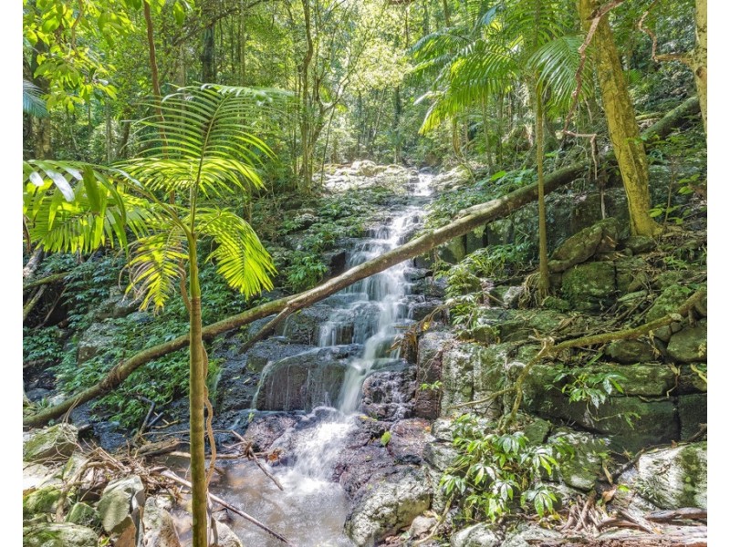 458 SETTLEMENT ROAD, Numinbah NSW 2484