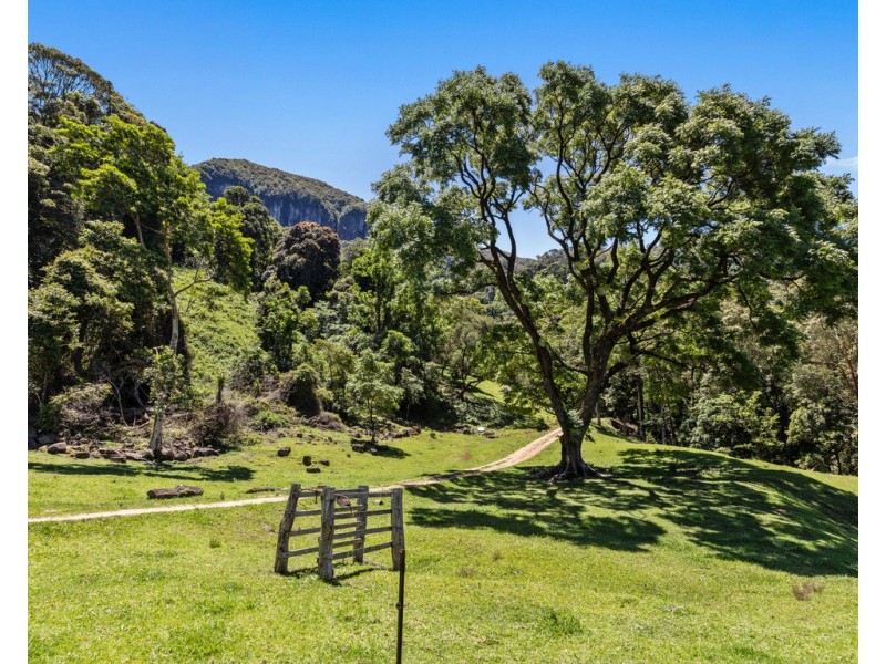 458 SETTLEMENT ROAD, Numinbah NSW 2484