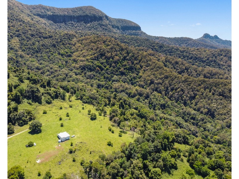 458 SETTLEMENT ROAD, Numinbah NSW 2484
