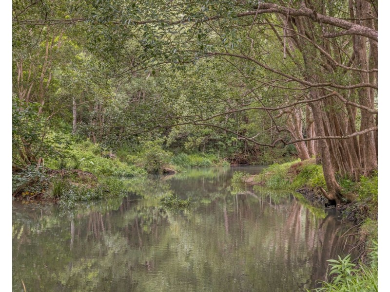 241 BURRINGBAR ROAD, Burringbar NSW 2483