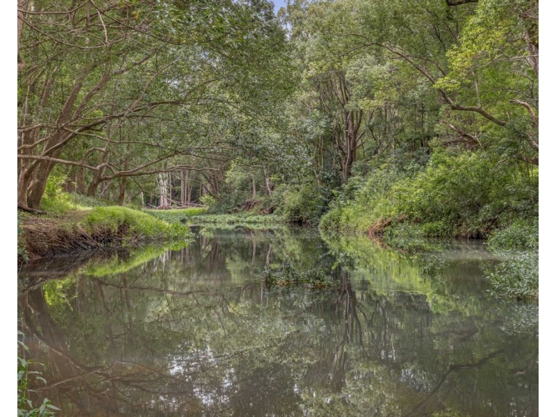 241 BURRINGBAR ROAD, Burringbar NSW 2483