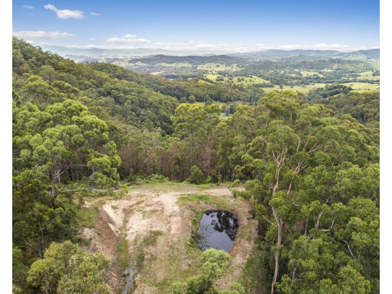 206 RIPPS ROAD, Stokers Siding NSW 2484