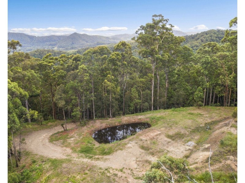 206 RIPPS ROAD, Stokers Siding NSW 2484