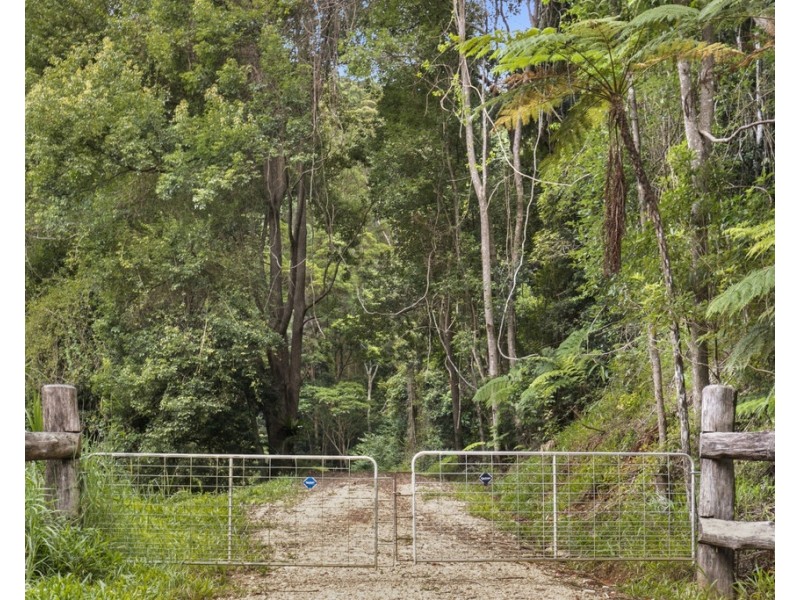 206 RIPPS ROAD, Stokers Siding NSW 2484