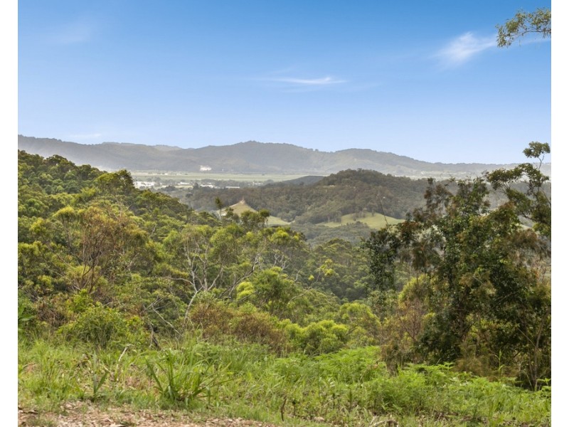 206 RIPPS ROAD, Stokers Siding NSW 2484