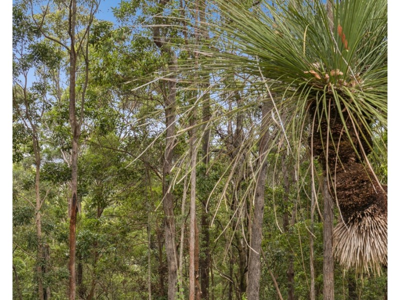 206 RIPPS ROAD, Stokers Siding NSW 2484