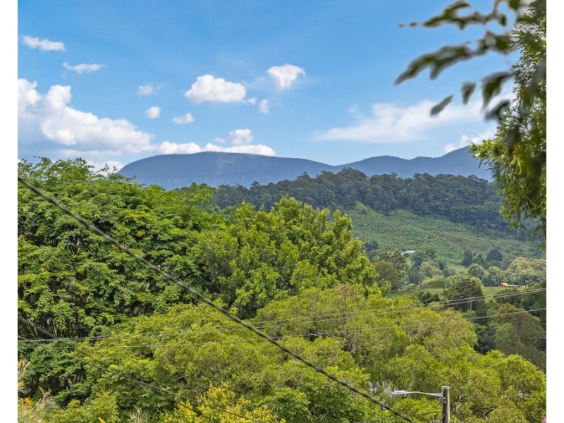 42 HALL DRIVE, Murwillumbah NSW 2484