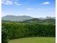 3 MOUNT BALLOW AVENUE, Murwillumbah NSW 2484