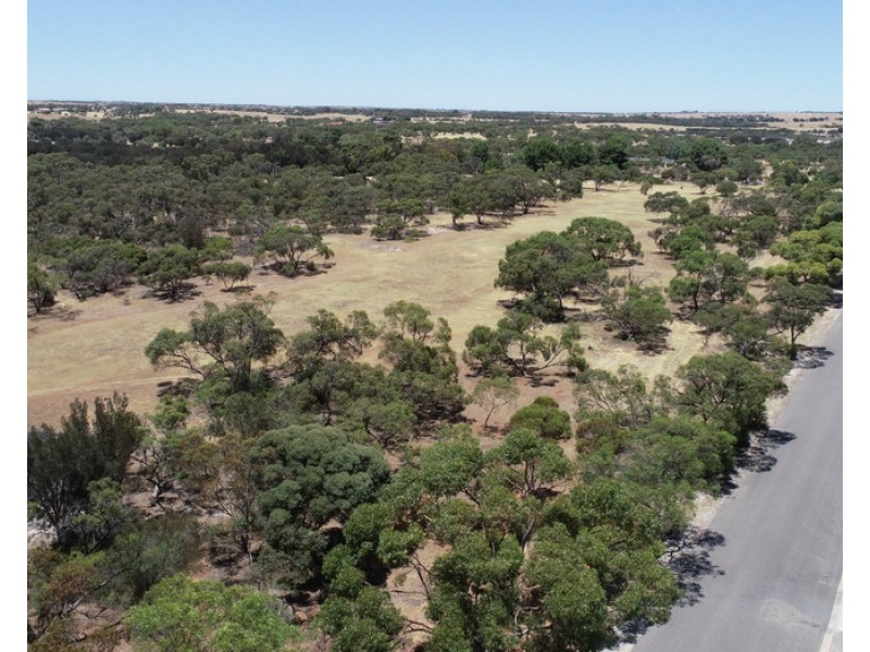23 North Terrace, Minlaton SA 5575