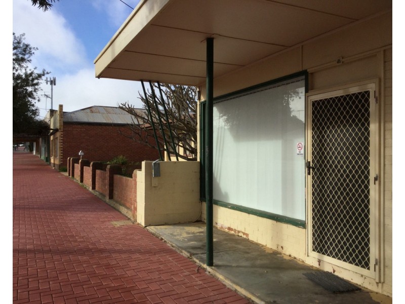46 Elizabeth Street, Maitland SA 5573