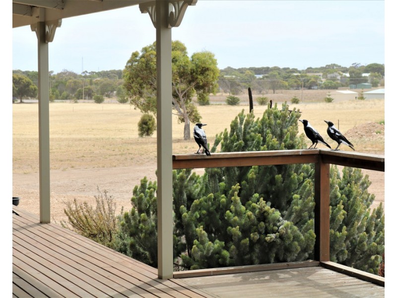 24 New Honiton Road, Edithburgh SA 5583