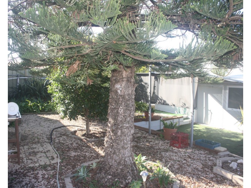 7a Kemp Street, Port Vincent SA 5581