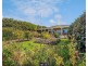 31 Tiddy Widdy Beach Road, Tiddy Widdy Beach SA 5571