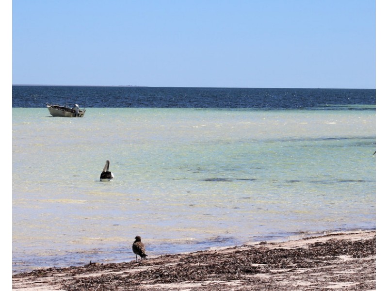 Lot 6 Conservation Road, Wauraltee SA 5573