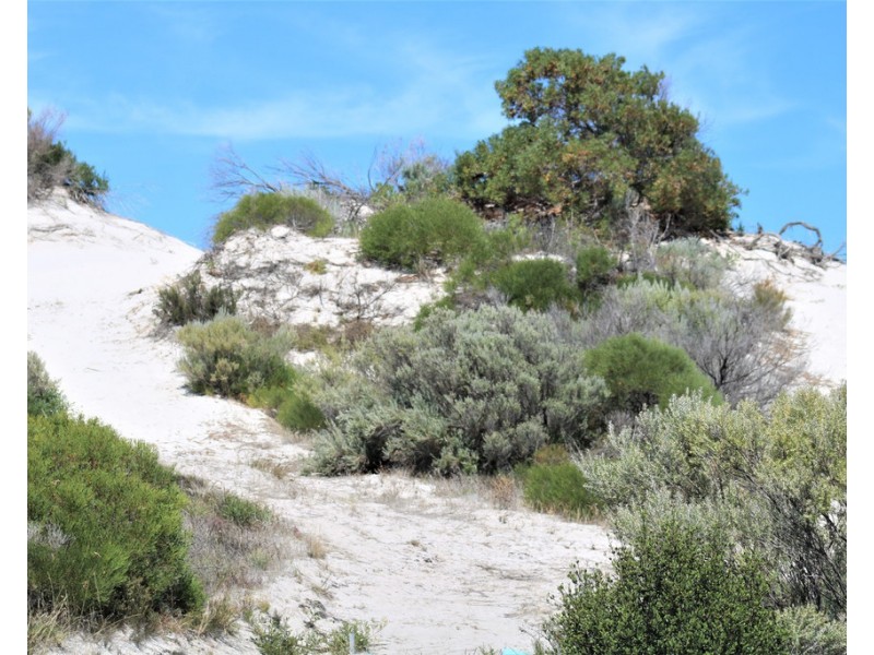 Lot 6 Conservation Road, Wauraltee SA 5573