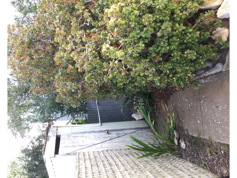 21 MINLACOWIE ROAD, Port Vincent SA 5581