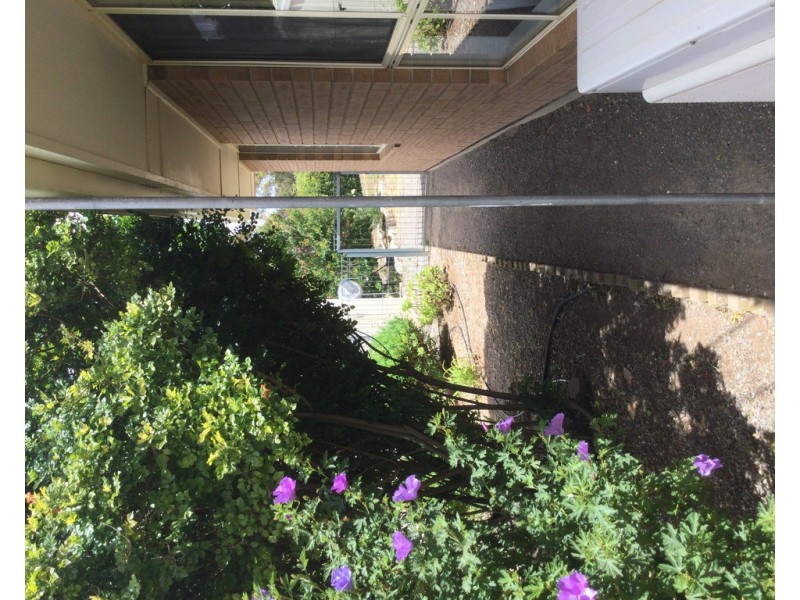 4 Clinton Road, Maitland SA 5573