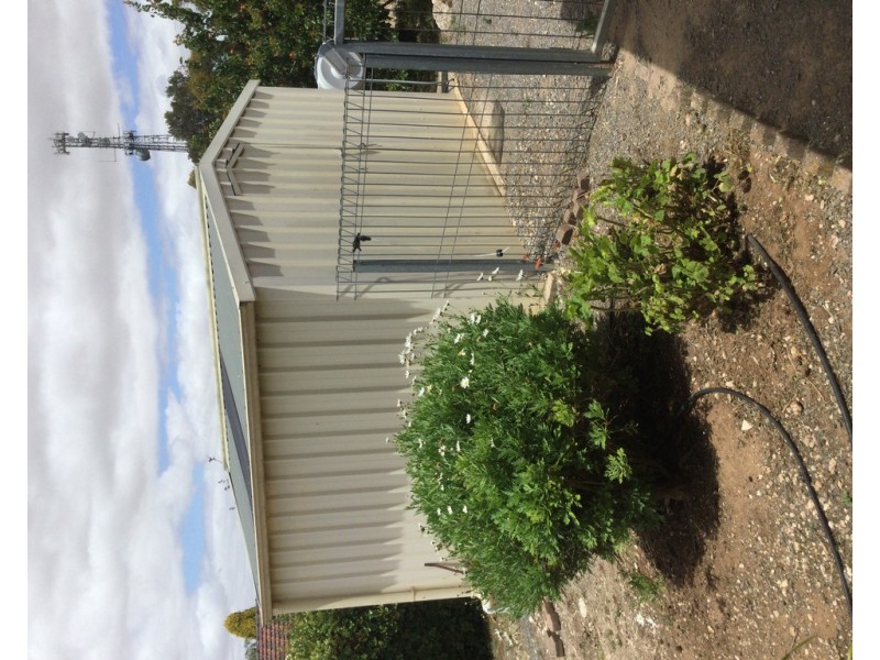 4 Clinton Road, Maitland SA 5573