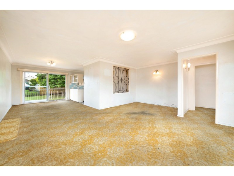 15 Chater Street, Carina QLD 4152