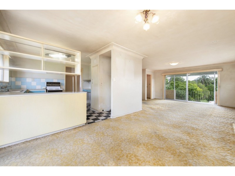 15 Chater Street, Carina QLD 4152