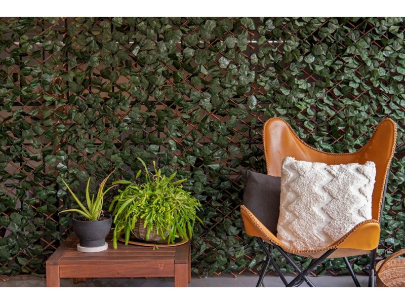 14 Blackwell Street, Tingalpa QLD 4173