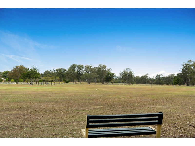 14 Blackwell Street, Tingalpa QLD 4173