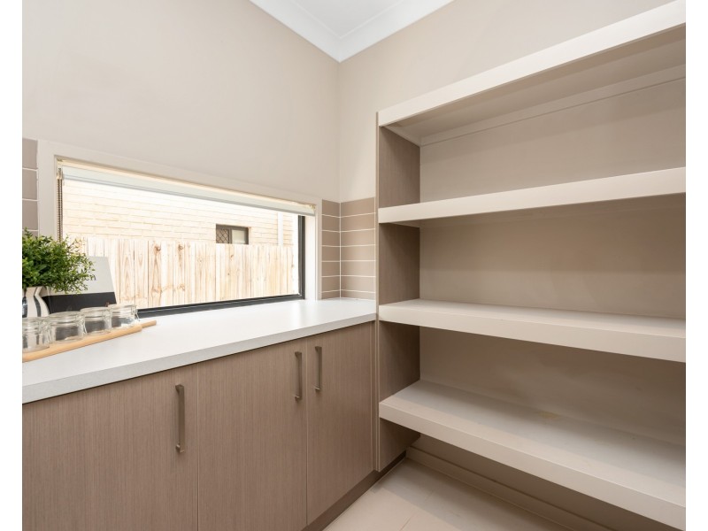 11 Shelley Street, Cannon Hill QLD 4170