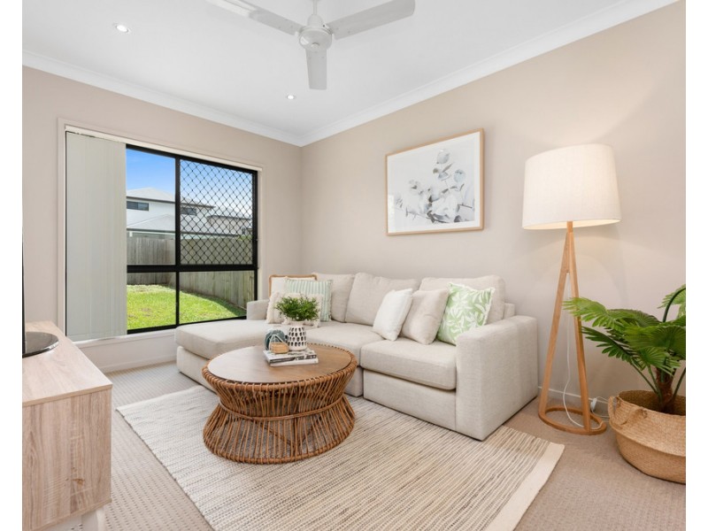 11 Shelley Street, Cannon Hill QLD 4170