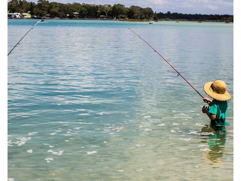 SHOP 2/6 JEPPESEN ROAD, Toogoom QLD 4655