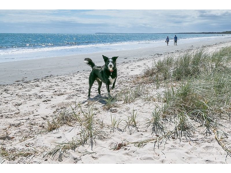 55 Shellcot Street, Toogoom QLD 4655