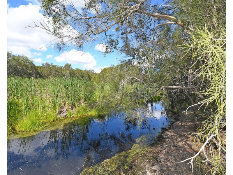 1091 PIALBA BURRUM HEADS ROAD, Craignish QLD 4655