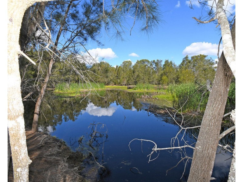 1091 PIALBA BURRUM HEADS ROAD, Craignish QLD 4655