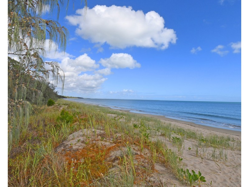 459 OREGAN CREEK ROAD, Toogoom QLD 4655