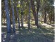 453 OREGAN CREEK ROAD, Toogoom QLD 4655