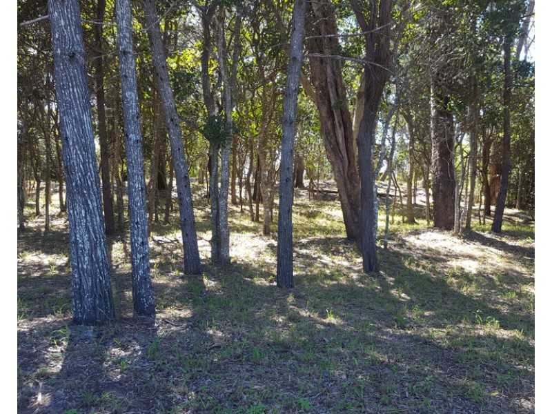 453 OREGAN CREEK ROAD, Toogoom QLD 4655