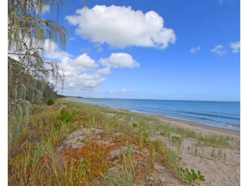 459 OREGAN CREEK ROAD, Toogoom QLD 4655