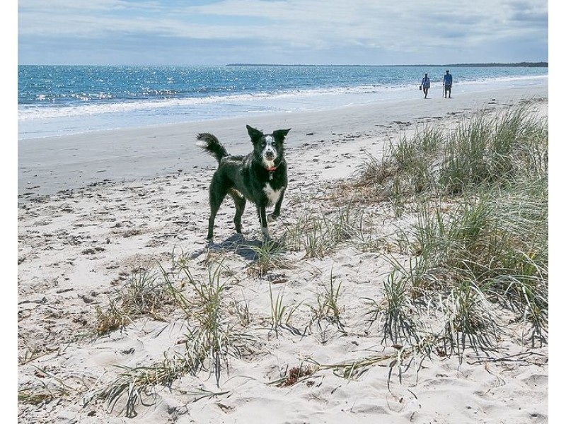 Lot 72 Carkeet Road, Toogoom QLD 4655